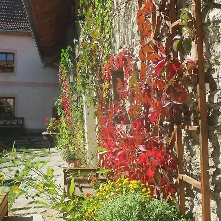Vendégház Vinicky Dvur 4*