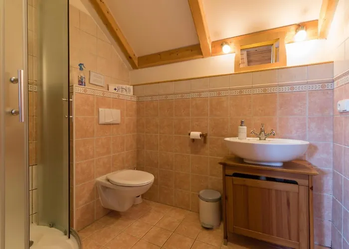 Gasthof Vinicky Dvur 3*